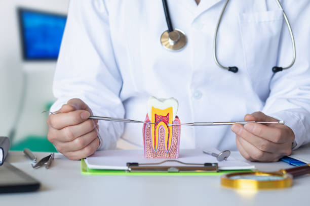 Best Emergency Treatment for Oral Infections in Madison Heights, VA